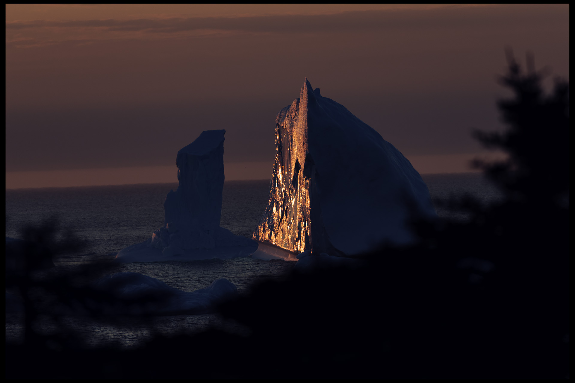 iceberg_spillars_cove_june2017_part2-03clr