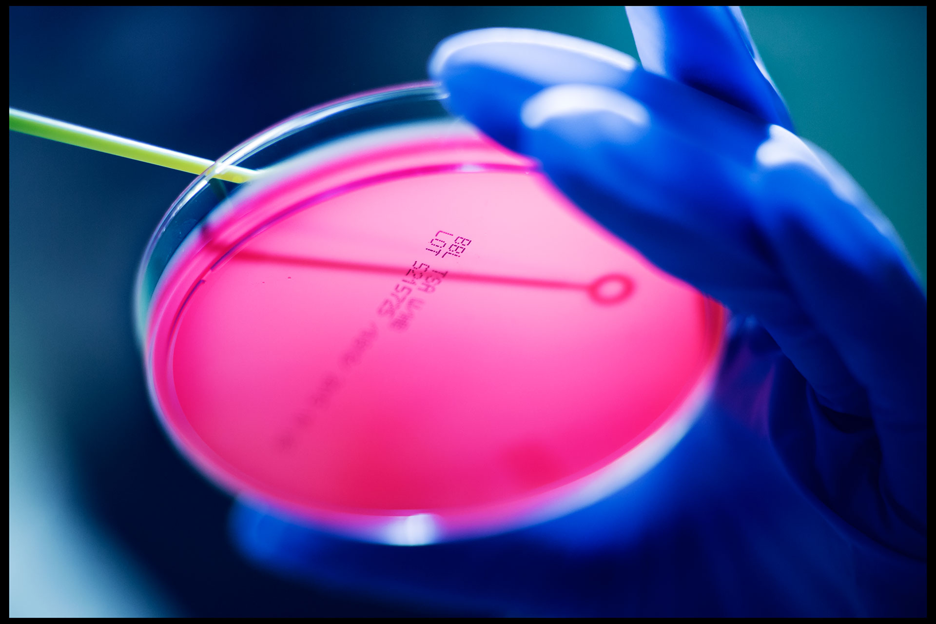 petroforma_IF_sept_2015-71c