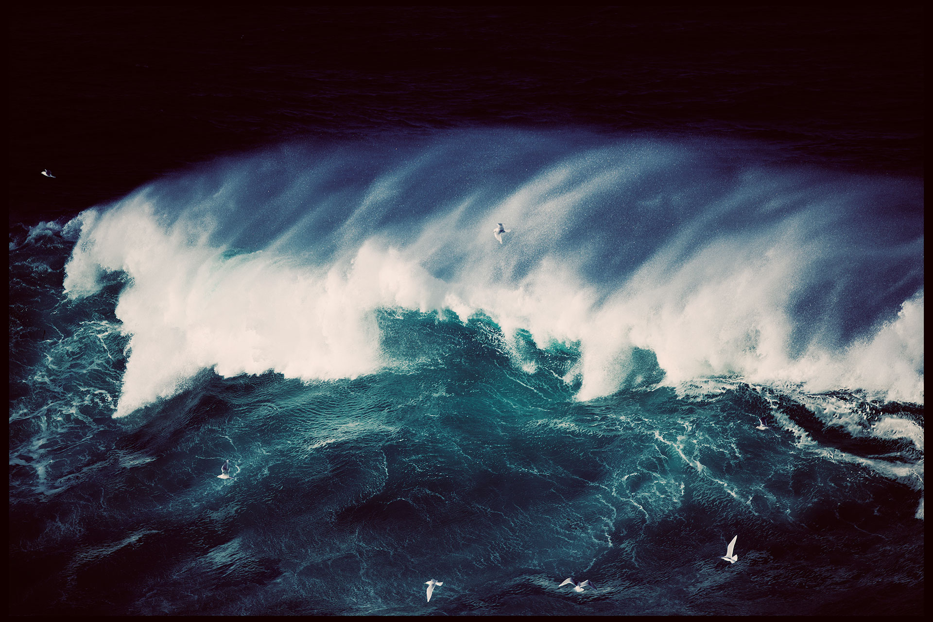waves_dec2013-raw-0237a